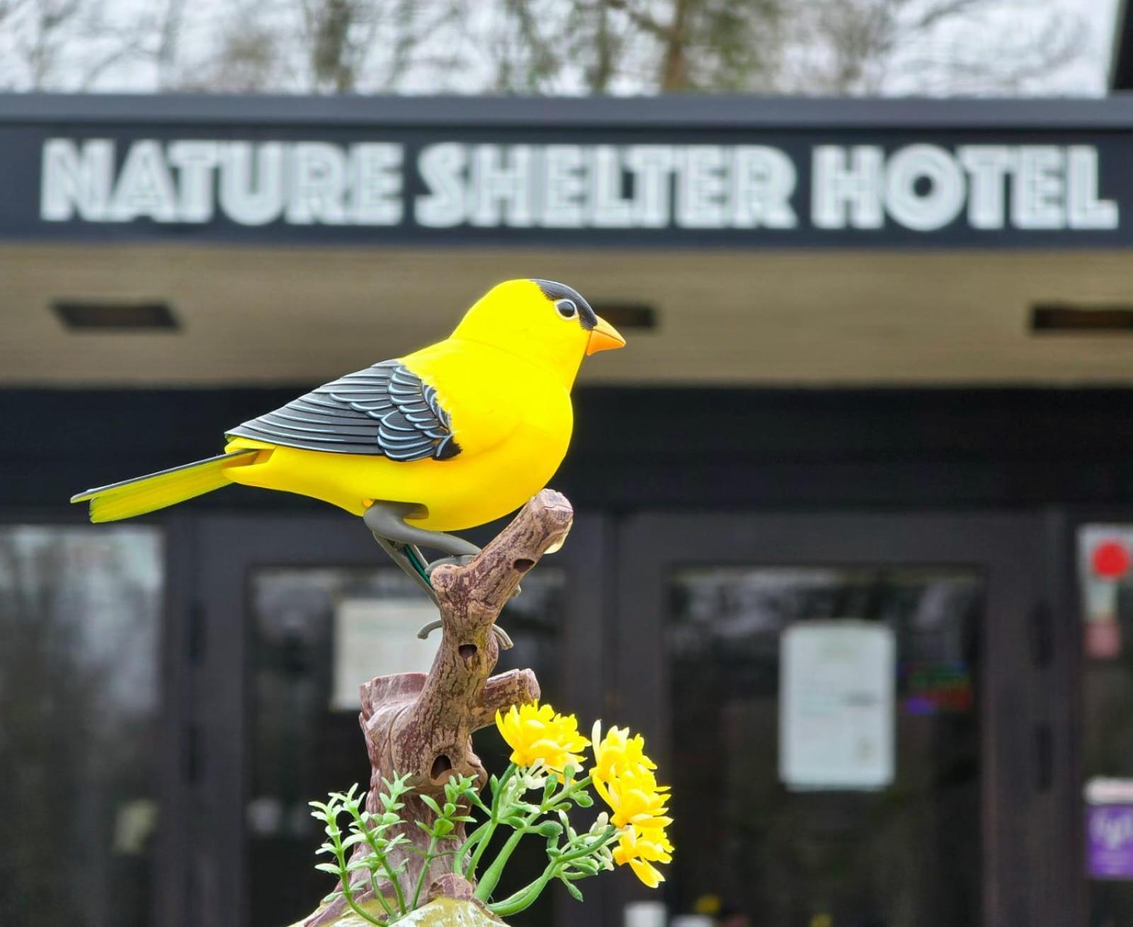 Nature Shelter Hotel Asljunga Ngoại thất bức ảnh